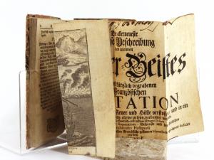(Vetter, Johann Friedrich). Das merckwürdige Leben, die sonderbare Kranckheit, darauf erfolgter Tod und Begräbniss der französischen Reputation, Welche zu dem allergrösten Leydwesen der Franzosen,...