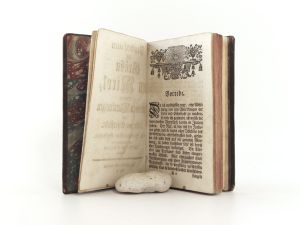 D´Argens, Markis Begebenheiten Der Gräfin von Mirol, Oder die betrübten Wirkungen der Liebe und Eifersucht.