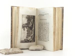 Wiedemann, Joseph Georg und Max Fischel. Mahlerische Streifzüge durch die interessantesten Gegenden um Wien. Vom Verfasser der Streifzüge nach Venedig und Istrien.
