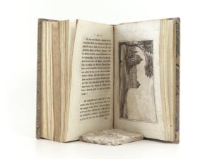 Wiedemann, Joseph Georg und Max Fischel. Mahlerische Streifzüge durch die interessantesten Gegenden um Wien. Vom Verfasser der Streifzüge nach Venedig und Istrien.
