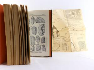 Kießling, Franz (Verf.). Beiträge zur Ur-, Vor- und Frühgeschichte von Niederösterreich und Südmähren. Nebst Mitteilungen über mittelalterliche Burgen und Keramik etc. Mit besonderer Berücksic...