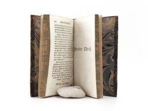 Sterne, Laurence. Herrn Yoricks, Verfasser des Tristram Shandy, Reisen durch Franckreich und Italien; als ein Versuch über die Menschliche Natur.