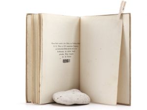 Kuh, Anton. Von Goethe abwärts.