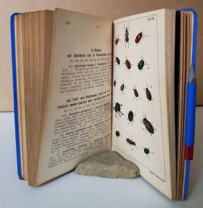 Schenkling, Carl (Bearb.). Taschenbuch für Käfersammler.