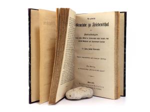Ennemoser, Franz Joseph. Eine Reise vom Mittelrhein (Mainz) über Köln, Paris und Havre nach den nordamerikanischen Freistaaten, beziehungsweise nach New-Orleans;
