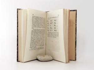 Franciscéische Curiosa; oder ganz besondere Denkwürdigkeiten aus der Lebens- und Regierungs-Periode des Kaiser Franz II. (I.).