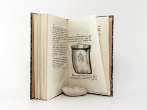 Franciscéische Curiosa; oder ganz besondere Denkwürdigkeiten aus der Lebens- und Regierungs-Periode des Kaiser Franz II. (I.).