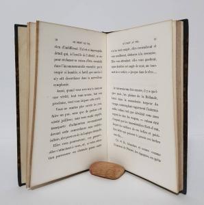 Nadar. Le Droit au Vol.