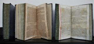 Bauer, Heinrich (Hrsg.). Das goldene Buch oder der ökonomische Hausschatz.