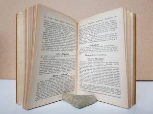 Weimarer historisch-genealoges Taschenbuch des gesamten Adels jehudäischen Ursprunges.