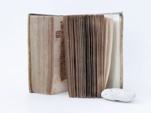 Kessler, Andreas. Bellum Religiosum S. Petri & R. Papae. Das ist / Religionskrig zwischen dem H. Apostel Perro und dem Römischen Papst / Vom vergebliche Ruhm der Päpstischen Succession auff S. Petri...