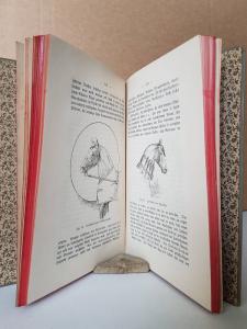 Schoenbeck, Berthold (Hrsg.). Hippologisches Alphabet. Handbuch für berittene Offiziere wie auch Pferdebesitzer jeden Ranges und Standes zur Orientierung im Umgang mit Pferden nebst Anleitung über d...