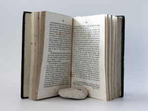 Trollope, Mistreß. Wien und die Oesterreicher sammt Reisebildern aus Schwaben, Baiern, Tyrol und Salzburg. In drei Bänden.