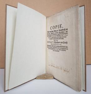Schoeller Bleckmann. Die nichtrostenden Stahle der Marke &quote;Phönix-Edelweiß&quote;.