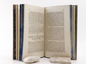 Abraham a Sancta Clara. Ausgewählte komische Erzählungen, Fabeln, und Einfälle in satyrisch-moralischen Bemerkungen, Gleichnissen und Vergleichungen … und launichten Bemerkungen.