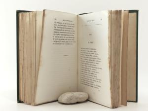 Baudelaire, Charles. Les Fleurs du Mal.