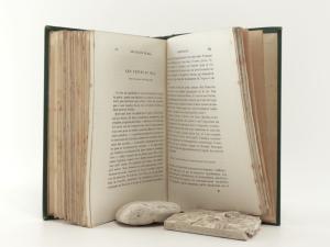 Baudelaire, Charles. Les Fleurs du Mal.