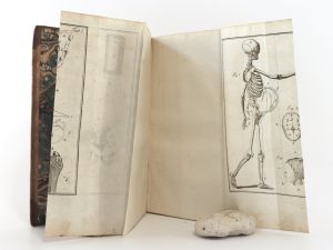 Stein, Georg Wilhelm. Theoretische Anleitung zur Geburtshülfe. Zum Gebrauche der Vorlesungen. I. Theil.