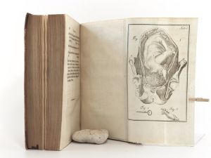 Stein, Georg Wilhelm. Theoretische Anleitung zur Geburtshülfe. Zum Gebrauche der Vorlesungen. I. Theil.