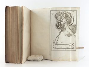 Stein, Georg Wilhelm. Theoretische Anleitung zur Geburtshülfe. Zum Gebrauche der Vorlesungen. I. Theil.