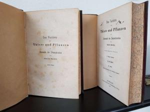 Darwin, Charles. Das Variiren der Thiere und Pflanzen im Zustande der Domestication.