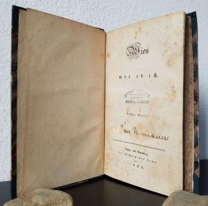 Groß-Hoffinger, Anton Johann (d.i. Hans Normann). Wien wie es ist.