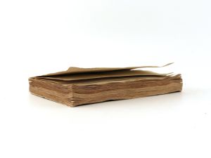 Sauter, Joh. Nep. Die gänzliche Exstirpation der carcinomatösen Gebärmutter