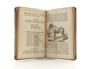 Solereder, Ludwig. Das Buch der Anschauung. Der Sprech-Schreib-Lese-Fibel Fortsetzung. I. Abteilung.