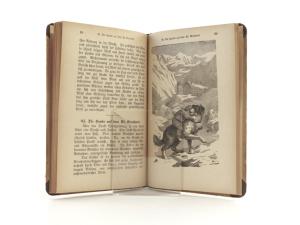 Solereder, Ludwig. Das Buch der Anschauung. Der Sprech-Schreib-Lese-Fibel Fortsetzung. I. Abteilung.