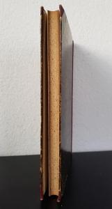 Thürheim, Andreas Graf v. Der k. k. österreichische Feldmarschall Fürst Windisch-Grätz. Eine Lebens-Skizze.