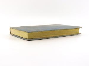 Sammlung der Aktenstücke über die spanische Thronveränderung.