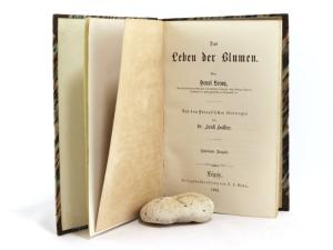 Lecoq, Henri. Das Leben der Blumen.