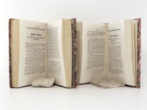 Megerle von Mühlfeld, G. Memorabilien des Österreichischen Kaiserstaates, oder Taschenbuch zur Rückerinnerung an die merkwürdigsten vaterländischen Ereignisse seit dem Regierungs-Antritte Sr. Maj...