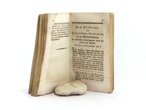 Meister, Leonard. Leonard Meister´s helvetische Revolutionsgeschichte.