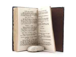 Volksfreund, C. U. Die einzige und wahre Goldgrube ein unentbehrliches Handbuch für jeden Haushalt, enthaltend einen ewigen Kalender, Bauernregeln, untrügliche Hausmittel für alle Krankheiten, ein ...