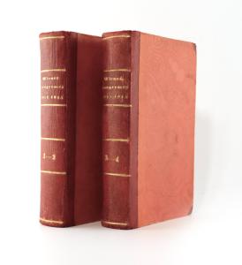 Garde, Graf de la. Gemälde des Wiener Congresses 1814-1815.