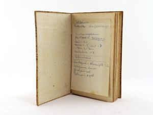 Anweisung zum Mignaturmahlen, vermittelst deren diese Kunst gantz leicht und ohne Lehrmeister zu begreifen, nebst vielen raren und geheimen hierzu gehörigen Kunst-Stücken; Ingleichen ein Planier- un...