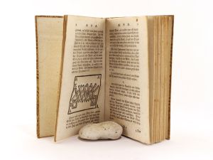 Anweisung zum Mignaturmahlen, vermittelst deren diese Kunst gantz leicht und ohne Lehrmeister zu begreifen, nebst vielen raren und geheimen hierzu gehörigen Kunst-Stücken; Ingleichen ein Planier- un...