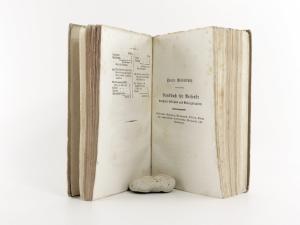 Groß, Anton Johann. Handbuch für Reisende durch die österreichische Monarchie, mit besonderer Rücksicht auf die südlichen und Gebirgsländer, nämlich: Oesterreich, Salzburg, Steiermark, Illirien...