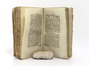Rousseau, Juge de Jean-Jacques. Dialogue.