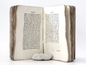 (Maubert de Gouvest, Jean-Henri). Lettres Iroquoises. Tome Premier et Tome Second.