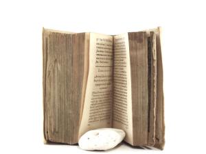 Hunnius, Helfrich Ulrich. HELFRICI-Ulrici HUNNII, J.U. DOCTORIS, ET Inclytae Academiae Giessenae Professoris publici de TRANSACTIONE LIBER.