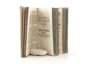 Thümmig, Ludwig Philipp. Institutiones Philosophiae Wolfianae in Usus Academicos Adornatae opera Ludovici Philippi Thümmigii .... Tomus Prior et Posterior.