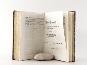 Preyssinger, P. Ludwig. Vademecum für Freunde der Naturwissenschaft. Erster Band (alles Erschienene).