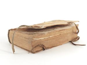 Coelius Casparus. [2]Newe warhaft außführliche Beschreibu(n)g der Jüngstabgesandten Japinischen Legation ganzen Raiß aus Japon bis gen Rom und widerumb von dannen in Portugal bis zu ihrem abschid ...
