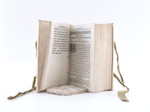 Peller, Cgristoph. Politicus sceleratus, impugnatus: Id est: Compendium politices novum,