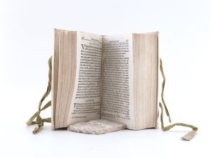 Peller, Cgristoph. Politicus sceleratus, impugnatus: Id est: Compendium politices novum,