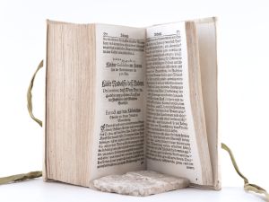Peller, Cgristoph. Politicus sceleratus, impugnatus: Id est: Compendium politices novum,