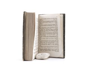 Hufeland, Christoph Wilhelm. Makrobiotik oder die Kunst das menschliche Leben zu verlängern. Erster und Zweyter Theil.