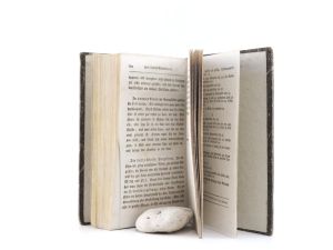 Hufeland, Christoph Wilhelm. Makrobiotik oder die Kunst das menschliche Leben zu verlängern. Erster und Zweyter Theil.